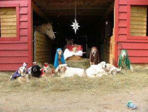 Lab Nativity